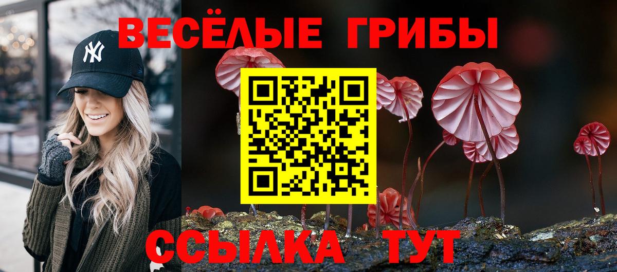 Галлюциногенные грибы прущие грибы Сальск