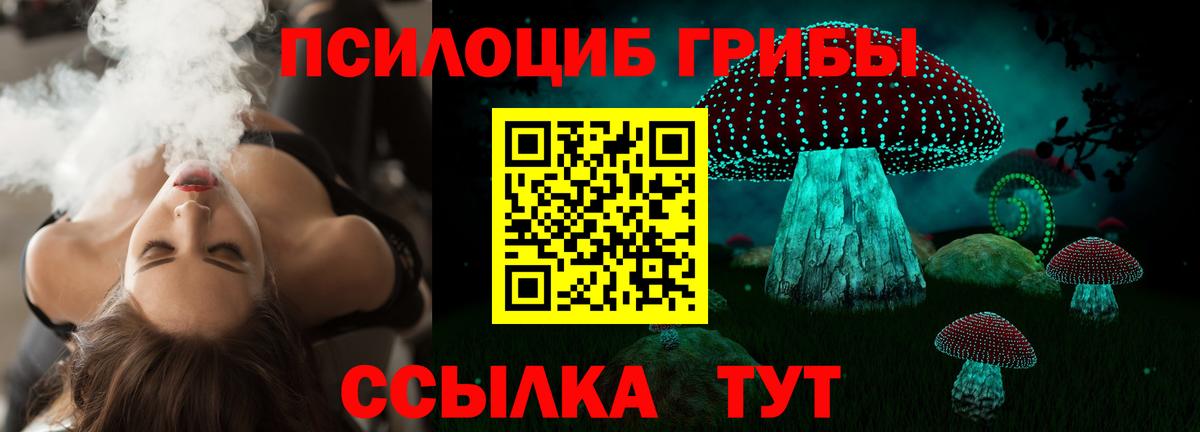 Псилоцибиновые грибы мицелий  Вход с VPN  Сальск  Галлюциногенные грибы Magic Shrooms 