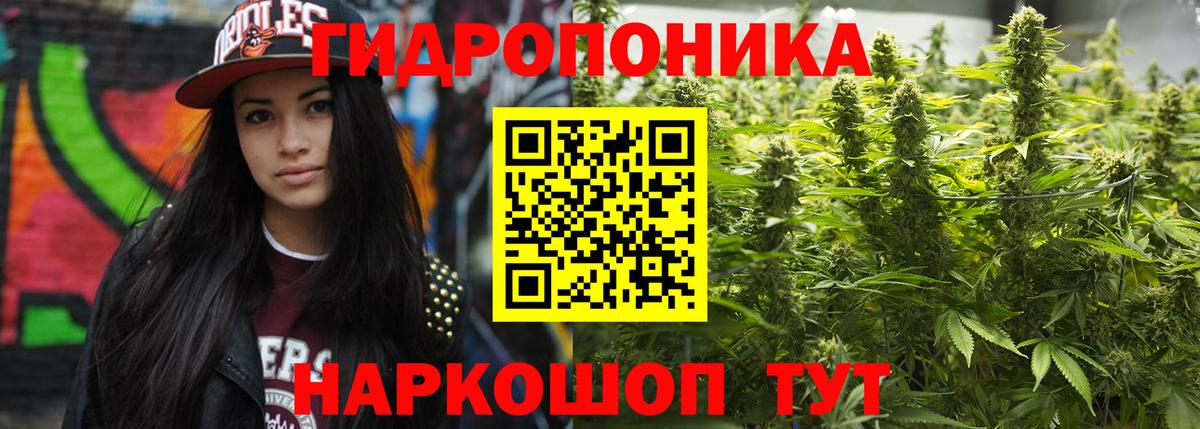 Шишки марихуана LSD WEED  Конопля сатива  МАРИХУАНА Bruce Banner  Сальск  Шишки марихуана семена  Вход с VPN 